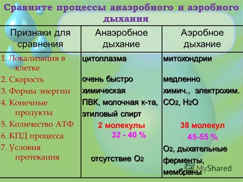 Достижение энергии и поддержание формы путем контроля порций и режима приема пищи