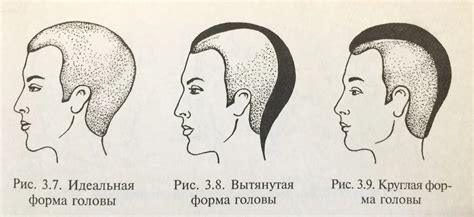 Естественные процессы изменения формы головы