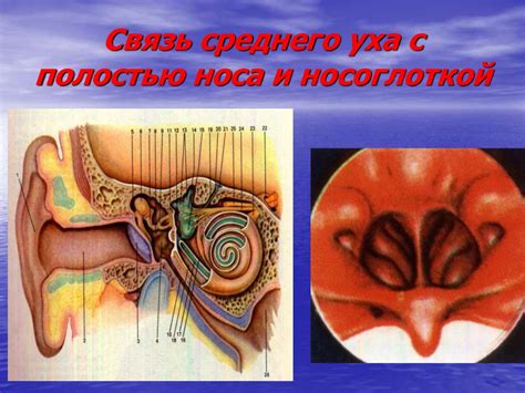 Заболевания среднего уха