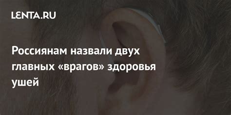 Забота о здоровье ушей вашей четвероногой спутницы: почему это так важно