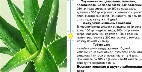 Заботливое использование алоэ для кожи лица: предостережения и ограничения