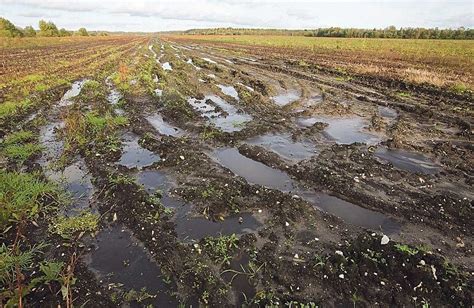 Загрязнение почвы и воды