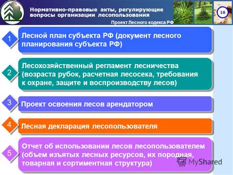 Законодательные акты, регулирующие проблему отходов в лесной местности