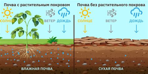 Замедление эрозии почвы: основные методы