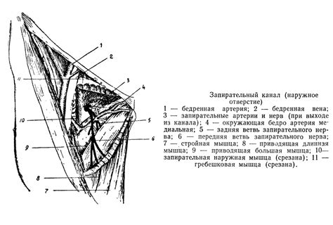 Запирательный элемент