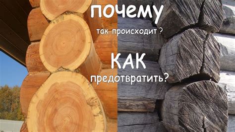 Заполнение трещин внутри бревен: процесс и рекомендации