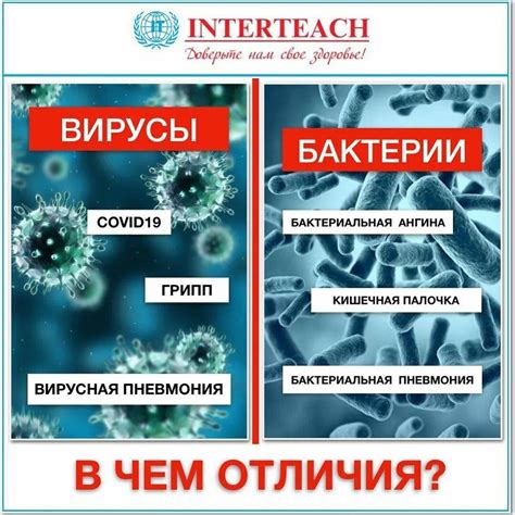 Заражение опасными бактериями и микробами