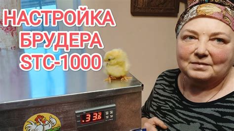 Зарядка и настройка брудера