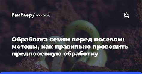 Зачем проводить предварительную обработку козлятины перед приготовлением