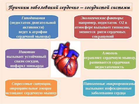 Защита сердечно-сосудистой системы при помощи коллагена