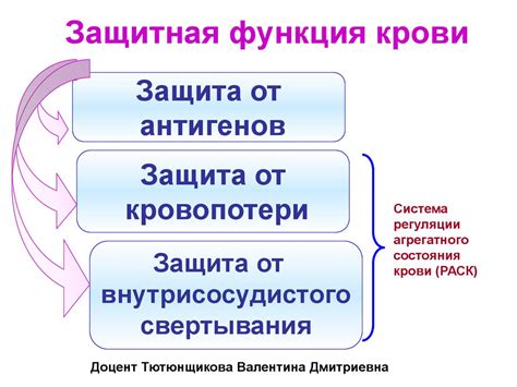 Защитная функция эктоплазмы