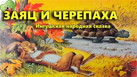 Заяц и черепаха: поучительная история