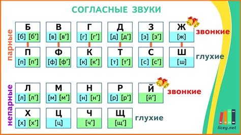 Звонкие в русском языке