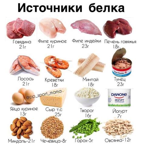 Здоровые белки для вашего меню