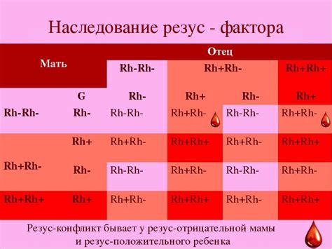 Здоровье и резус-фактор крови