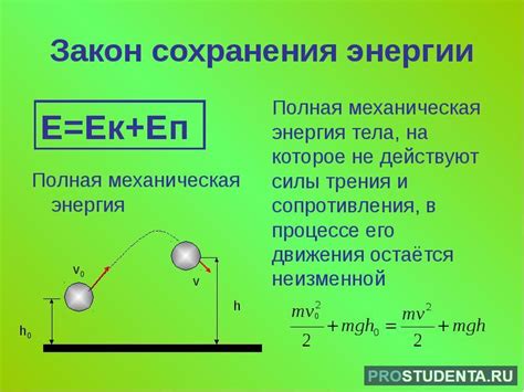 Зимние спячка и диапауза: стратегии сохранения энергии