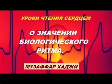 Значение биологического ритма