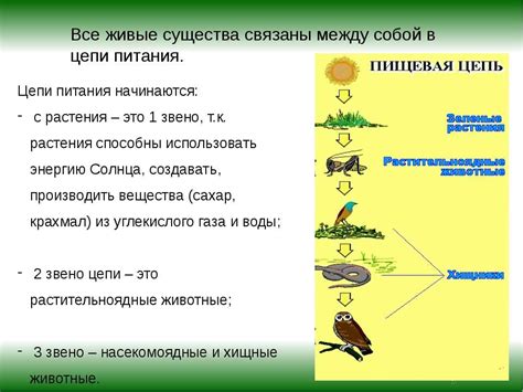 Значение бобрика для экосистемы