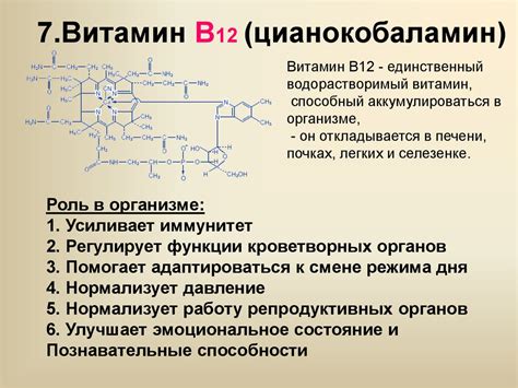 Значение витамина B12