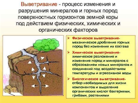 Значение геологических процессов