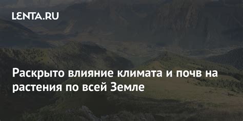 Значение для понимания климата