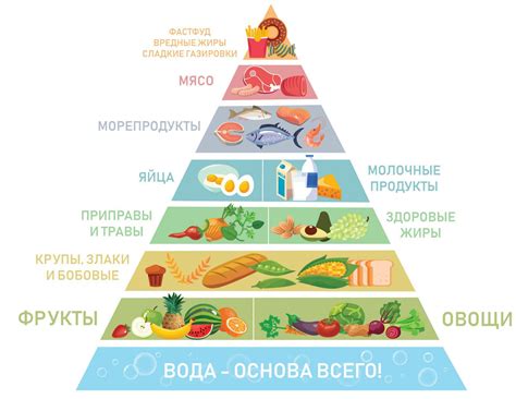 Значение надежного и здорового питания для успешных космических экспедиций