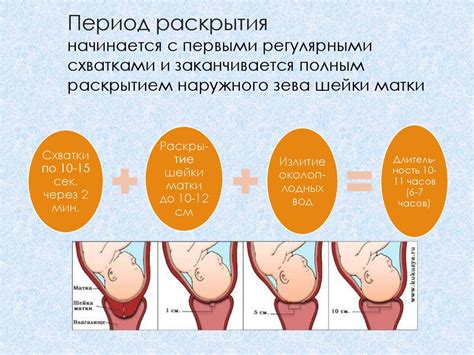 Значение наружного зева, пропускающего 1 палец