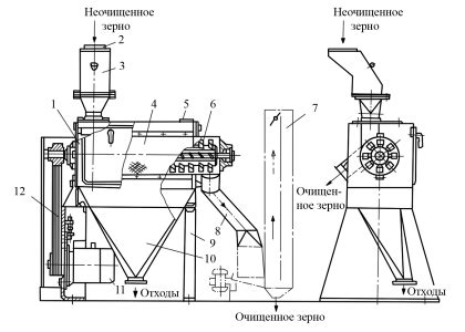 Значение освобождения чаги от наружного покрова