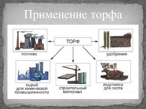 Значение пятой колонны в современном мире