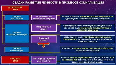 Значение социального опыта в процессе развития личности