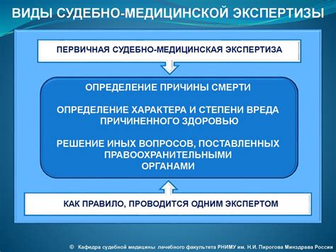 Значимость и роль судебно-медицинской экспертизы: практическое значение и вклад для правосудия