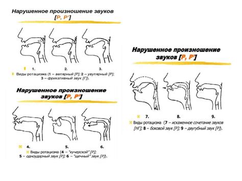 Значимость речевых органов для произношения звуков