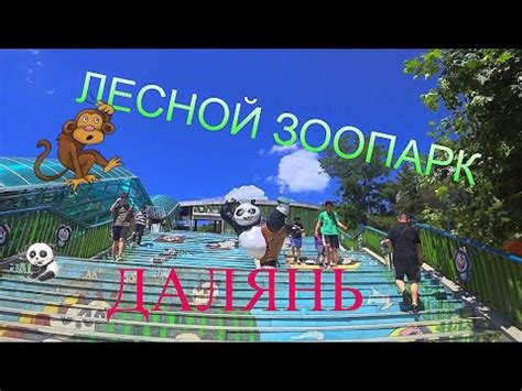 Зоопарк "Лесной дар"