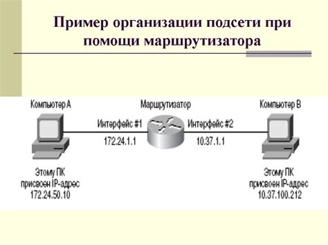 Идентификация устройств в сети: принципы работы IP-адресации