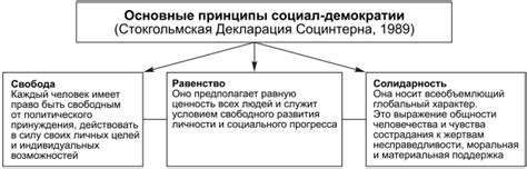 Идеология и структура базы Юнга: принципы работы