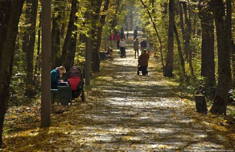 Избегайте лесных маршрутов