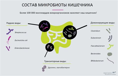 Изменения в микрофлоре кишечника