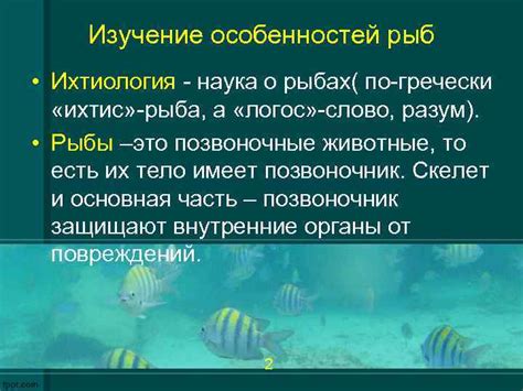 Изучение особенностей поведения рыбы