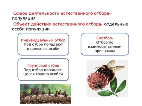 Изучение принципов естественного отбора