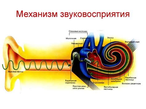 Импульс из внешней среды