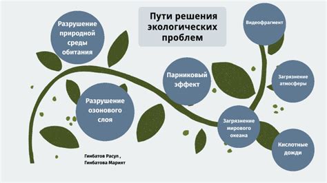 Инженер-эколог: технические аспекты решения экологических проблем