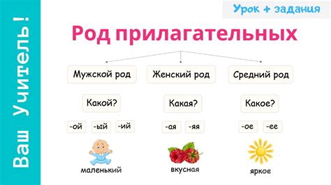 Инструкции и рекомендации: Как прилагательные ориентируют нашу деятельность