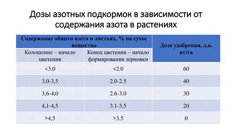 Интенсивность вкуса: как достичь оптимального результата