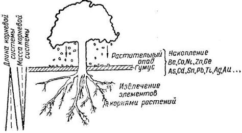 Интенсивность поглощения влаги