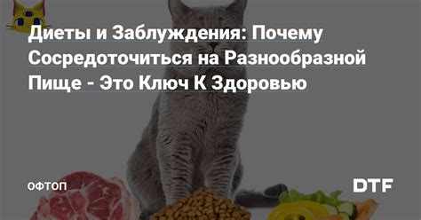 Интерес к разнообразной пище