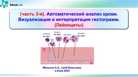 Интерпретация снов об крови