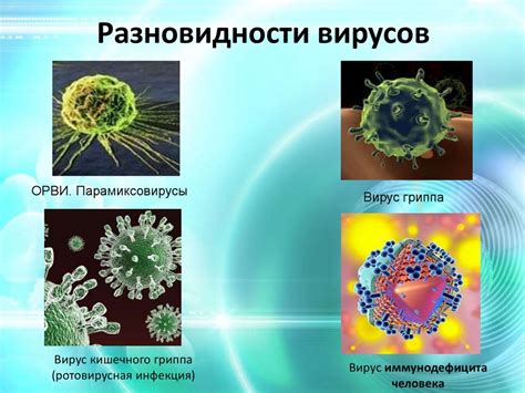 Инфекции и вирусы