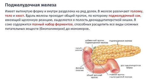 Инфекция в железе