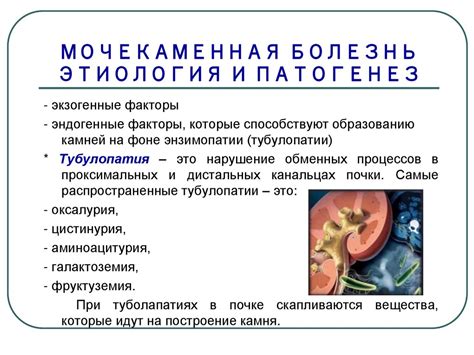 Использование брусники при мочекаменной болезни