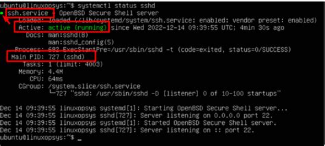 Использование команды systemctl status